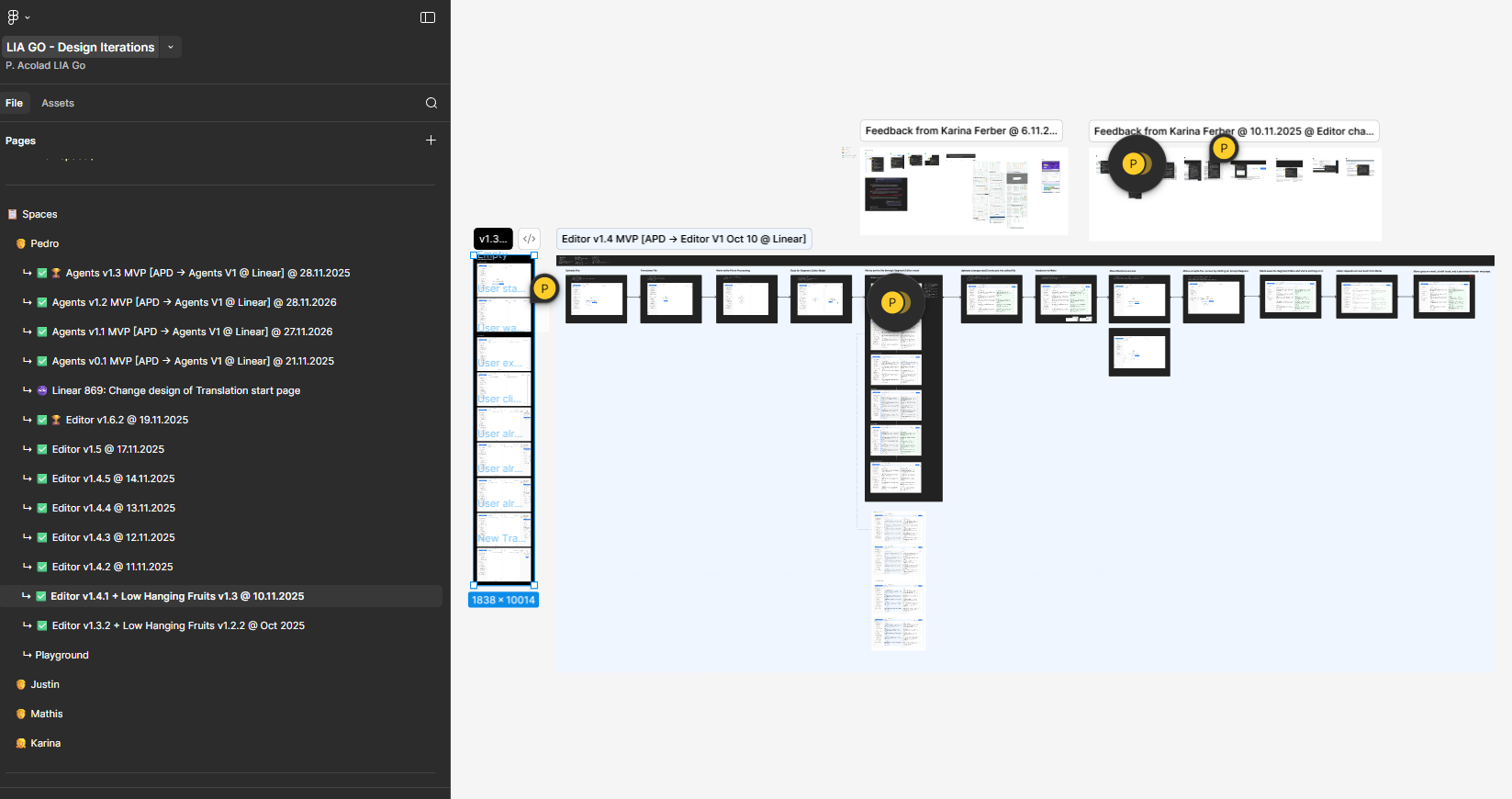 Lia Go interface concept