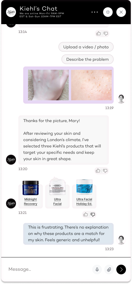L'Oréal AI Chatbot prototype screen 9
